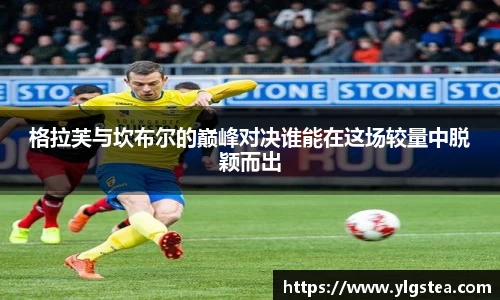 格拉芙与坎布尔的巅峰对决谁能在这场较量中脱颖而出